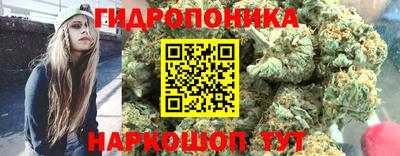 эйфоретик Дубна