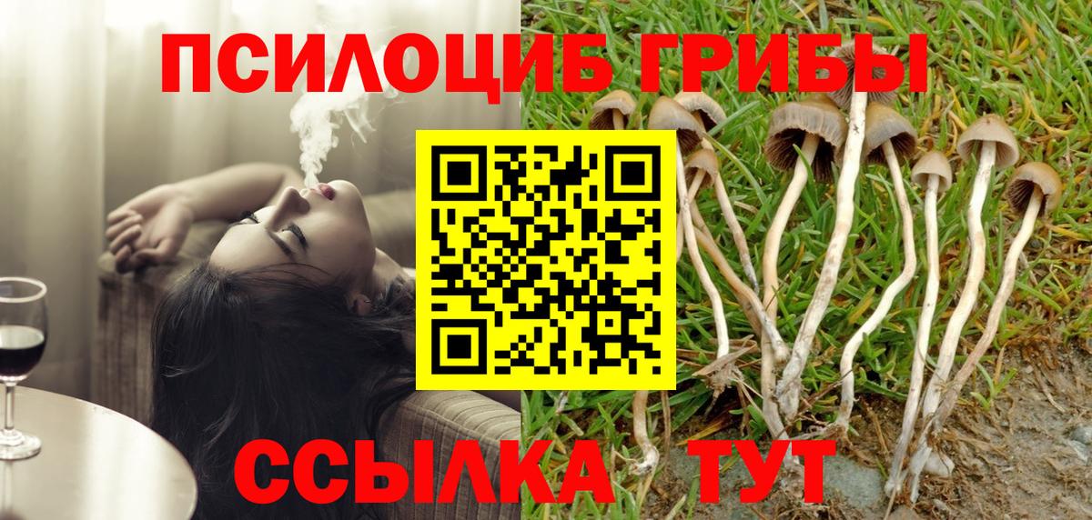 Псилоцибиновые грибы прущие грибы  Галлюциногенные грибы Magic Shrooms  Мелеуз  Вход с VPN 